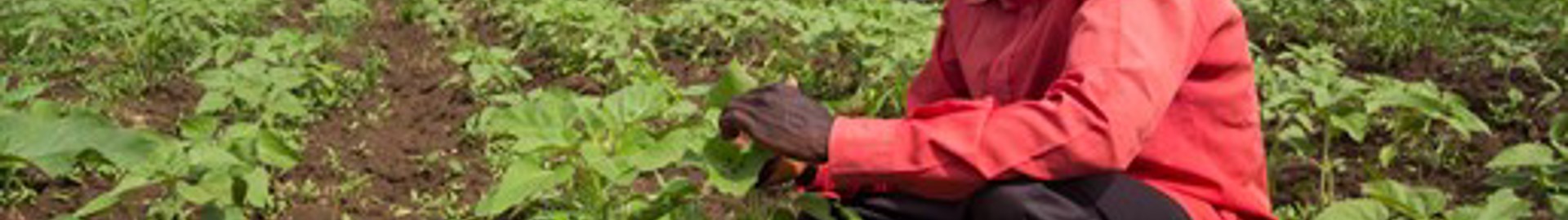 ZDTP Focus Farmers share best practice